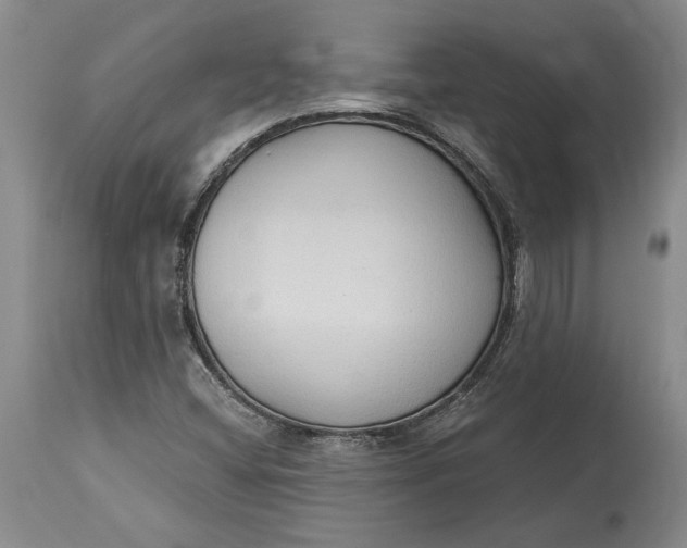 X0000115421404200911171412