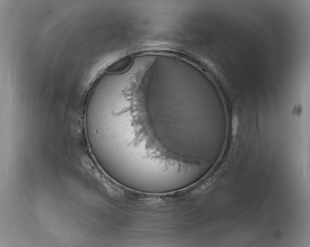 X0000115421405200911171412