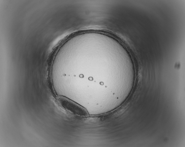 X0000115421406200911171412
