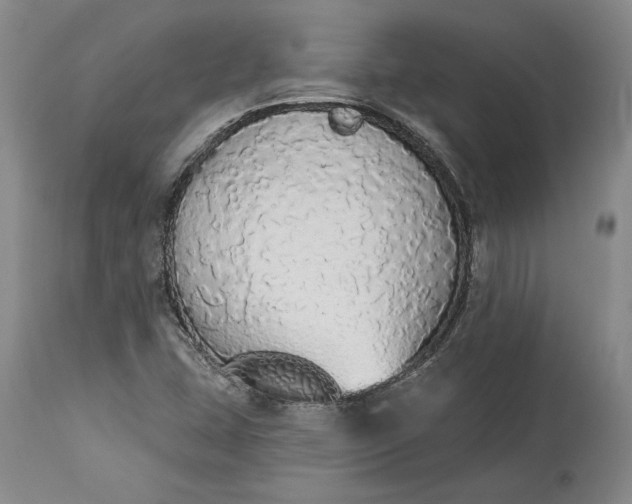 X0000115421407200911171412