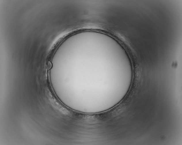 X0000115421408200911171412