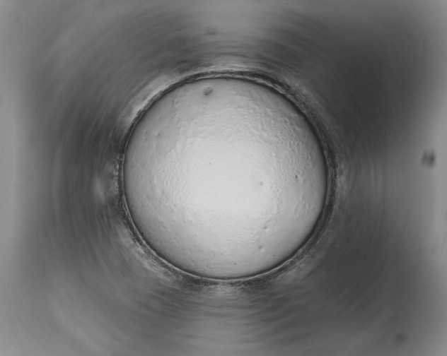 X0000115421409200911171412
