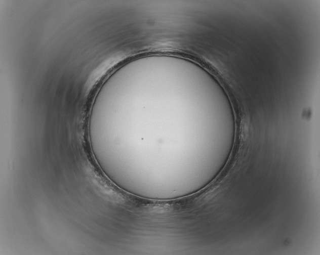 X0000115421410200911171412