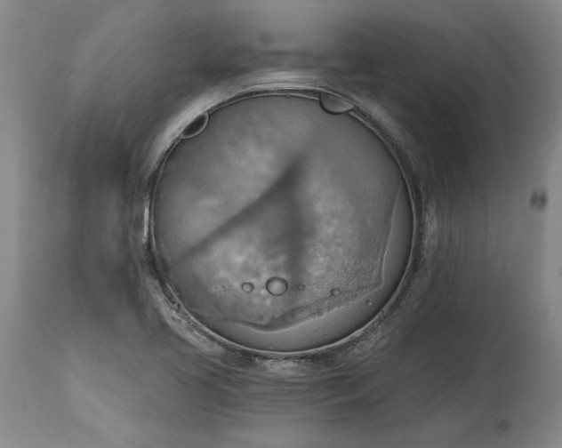 X0000115421413200911171412
