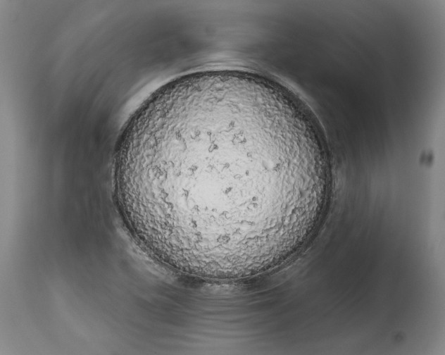 X0000115421415200911171412