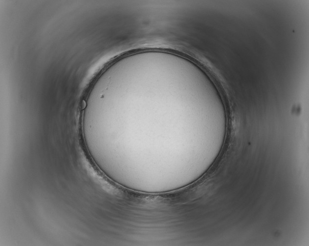 X0000115421416200911171412