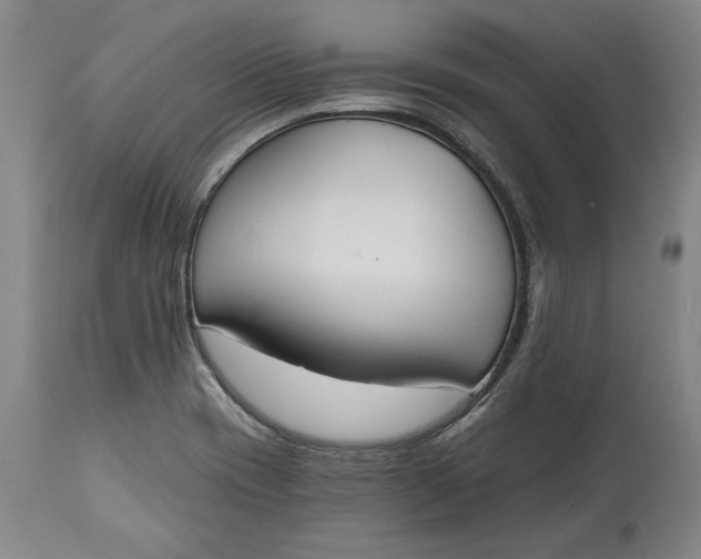 X0000115421417200911171412