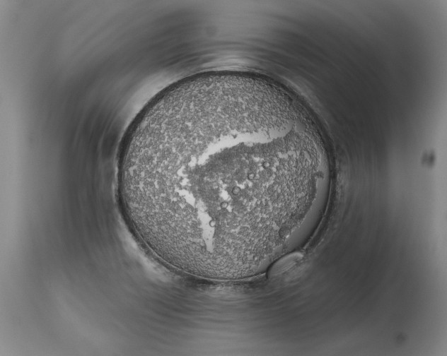 X0000115421418200911171412