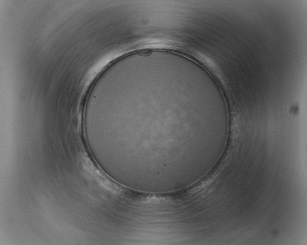 X0000115421419200911171412