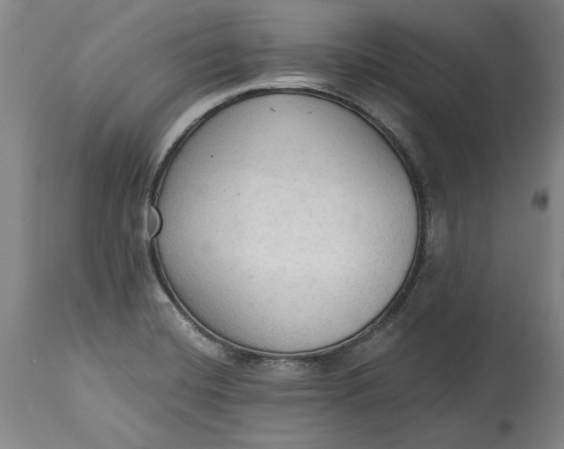 X0000115421420200911171412