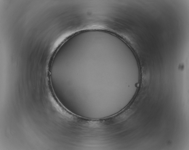 X0000115421422200911171412
