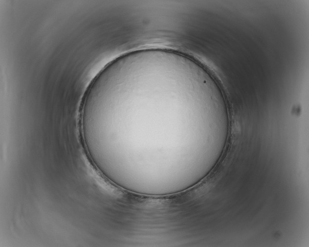 X0000115421423200911171412