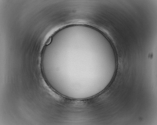 X0000115421424200911171412