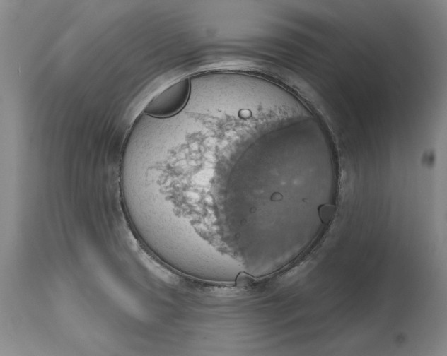 X0000115421425200911171412