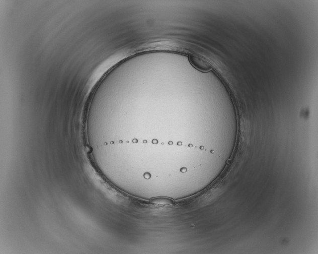 X0000115421426200911171412