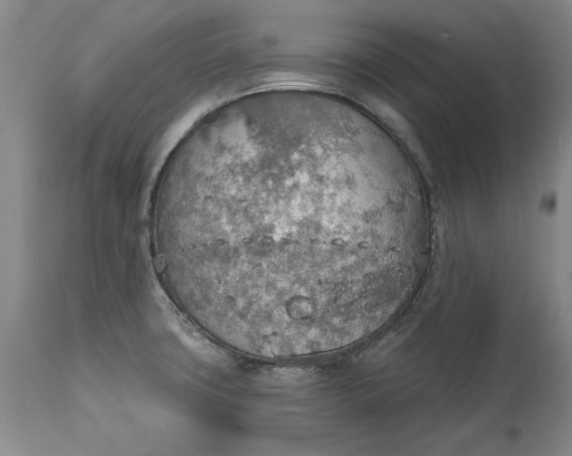 X0000115421427200911171412