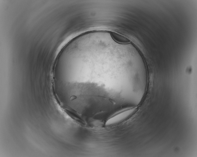 X0000115421428200911171412
