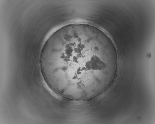 X0000115421429200911171412