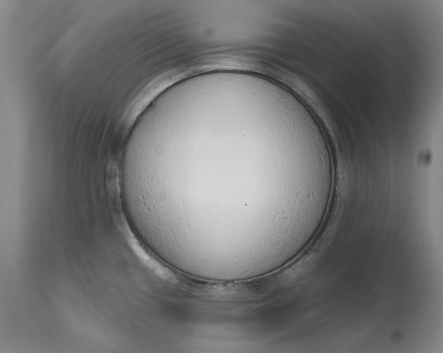 X0000115421433200911171413