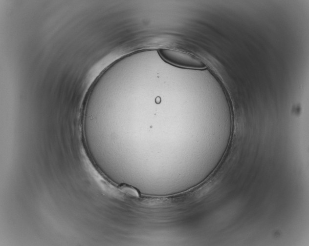 X0000115421434200911171413