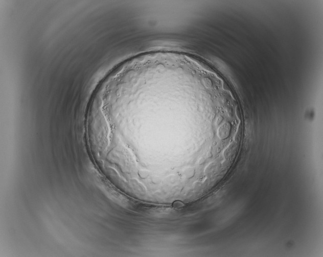 X0000115421435200911171413