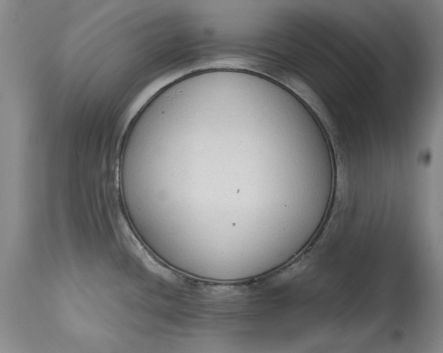X0000115421436200911171413