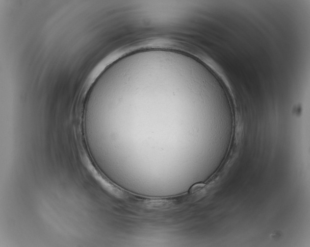X0000115421437200911171413