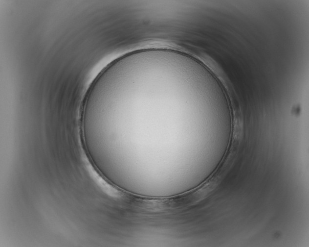 X0000115421438200911171413