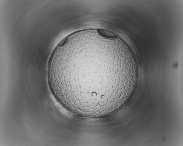 X0000115421439200911171413