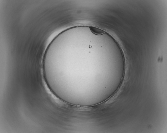 X0000115421440200911171413