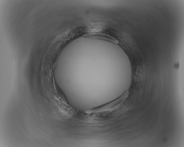 X0000115421441200911171412