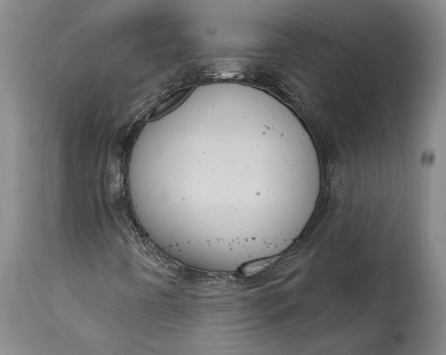 X0000115421442200911171412