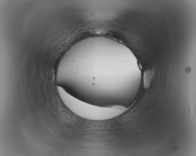 X0000115421443200911171412