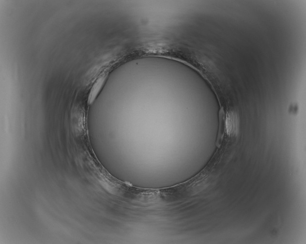 X0000115421444200911171412