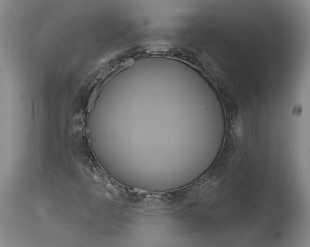 X0000115421445200911171412