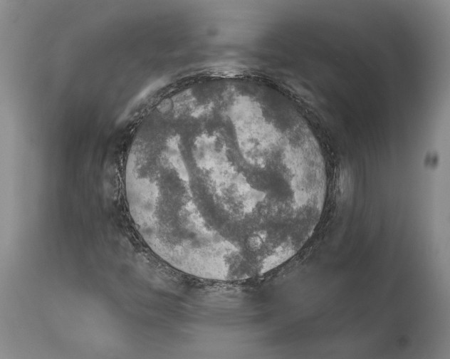 X0000115421446200911171412