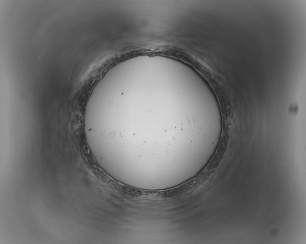 X0000115421447200911171412