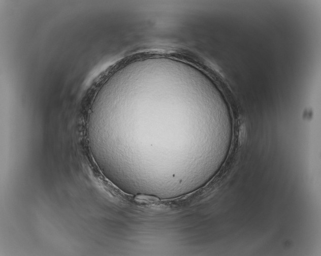 X0000115421448200911171412