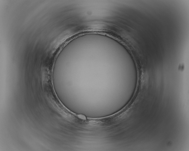 X0000115421449200911171412