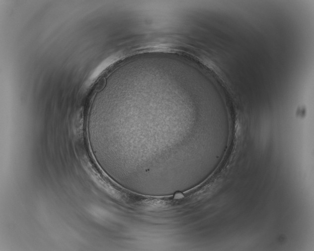 X0000115421450200911171412
