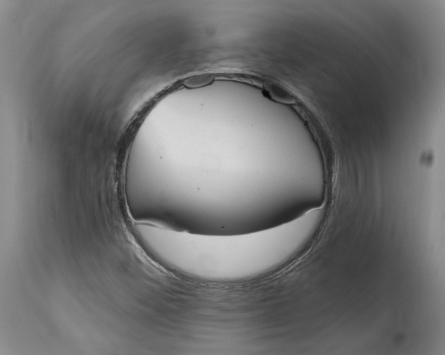 X0000115421452200911171412