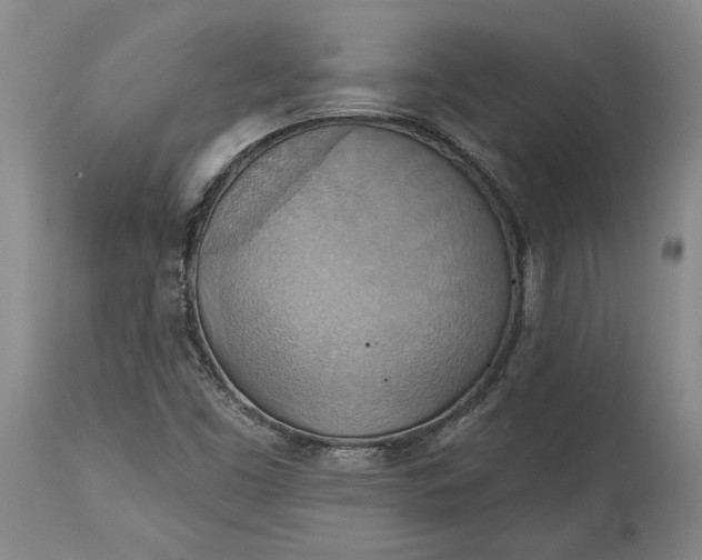 X0000115421453200911171412