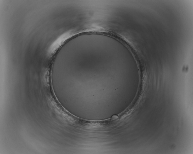 X0000115421455200911171412