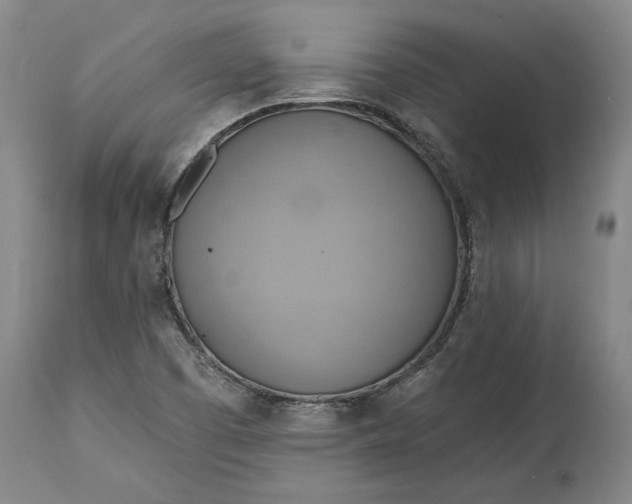 X0000115421457200911171412