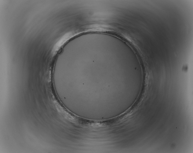 X0000115421459200911171412