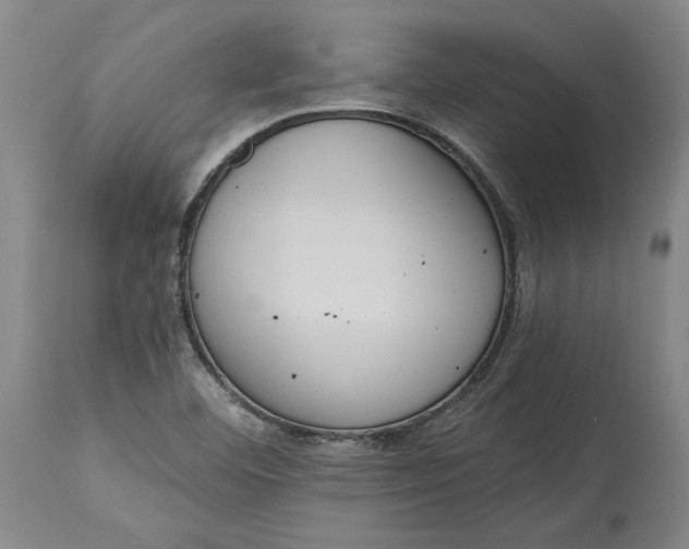X0000115421460200911171412