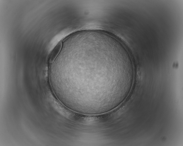 X0000115421461200911171412