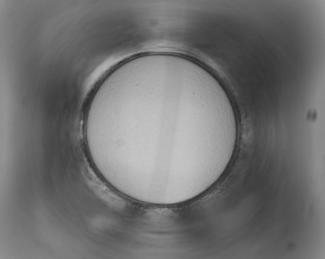 X0000115421462200911171412