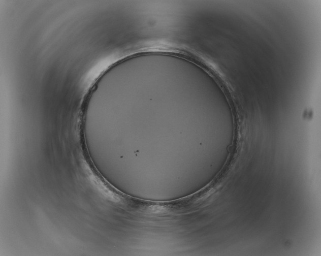 X0000115421463200911171412
