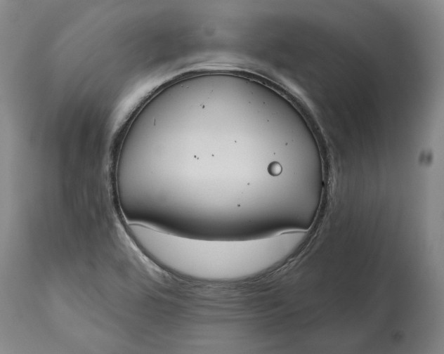 X0000115421464200911171412
